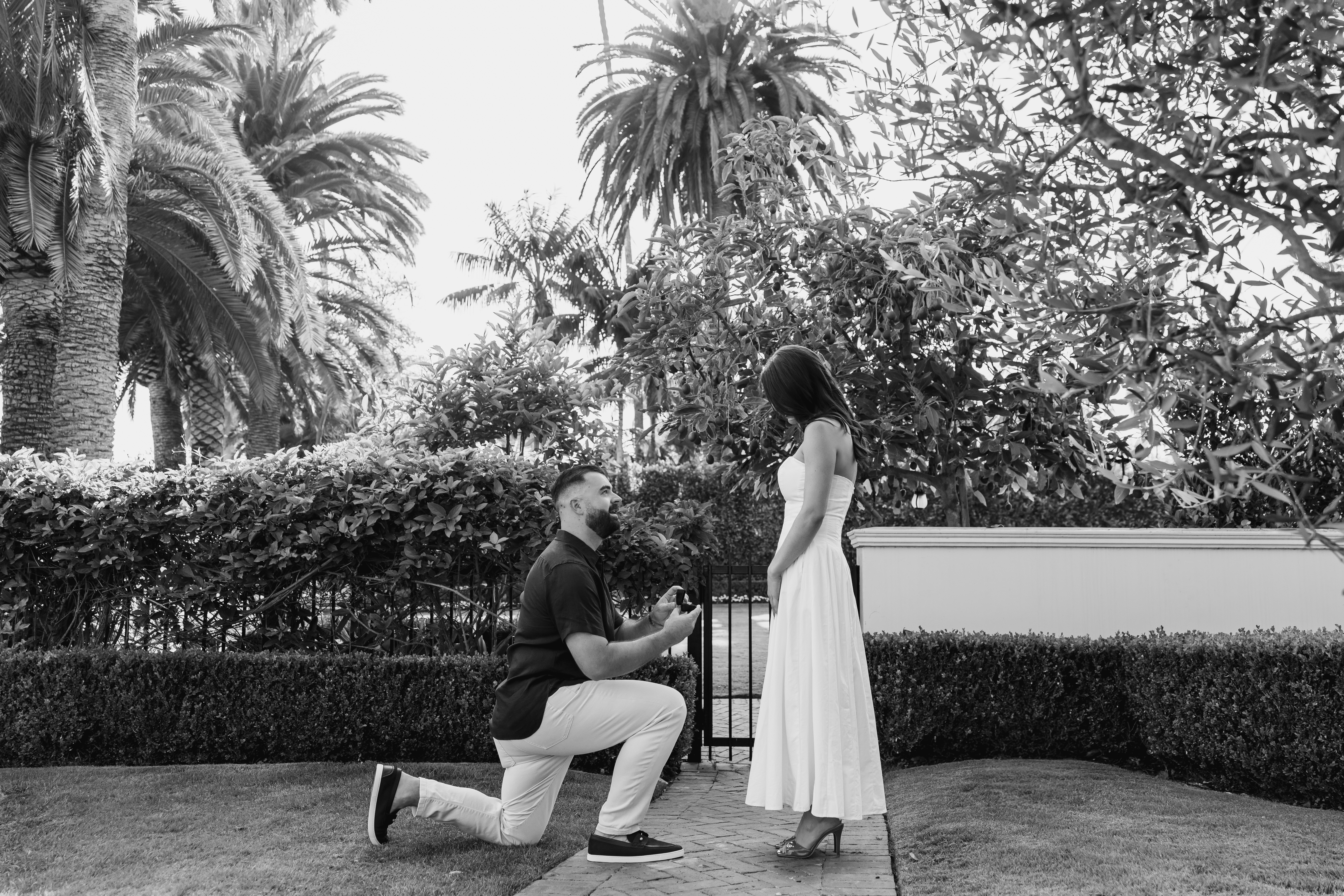 Nicholas down on one knee proposing to Belinda in a palm-filled garden